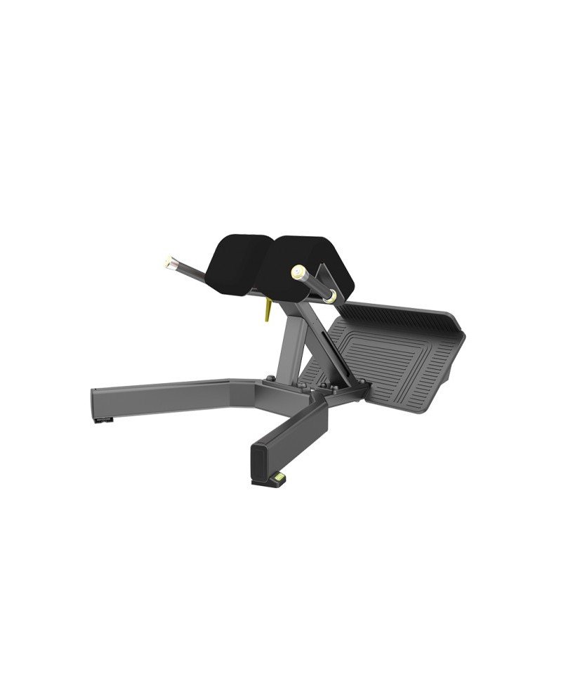  DHZ Hyper Extension Bench (Evost Model) E3062